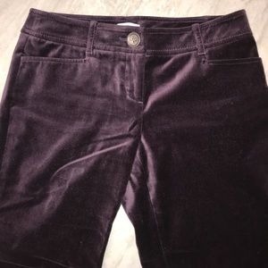 🌟Host Pick!🌟Ann Taylor LOFT velvety purple pants